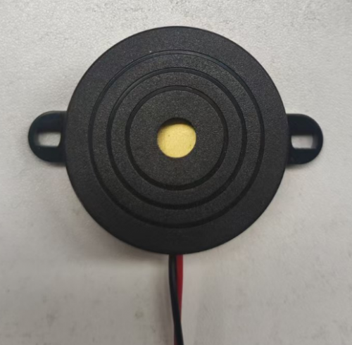 P6 Buzzer
