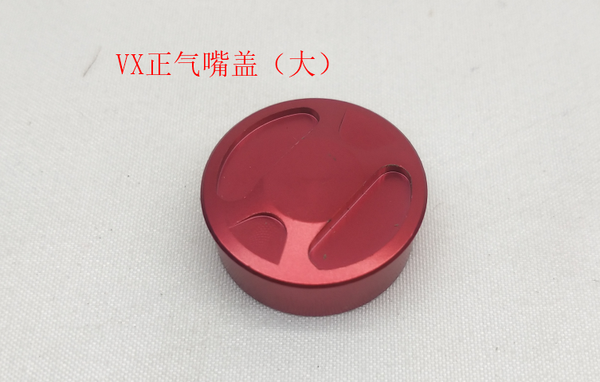 VX Valve Cap (Large) - INMOTION Service Center