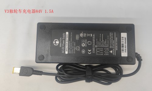 V5 Charger