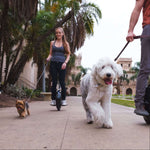Woman riding INMOTION V5 unicycle with dogs during a daytime stroll.