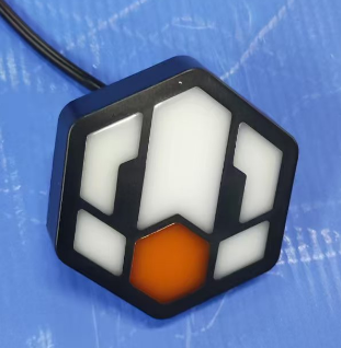 P6 Logo light